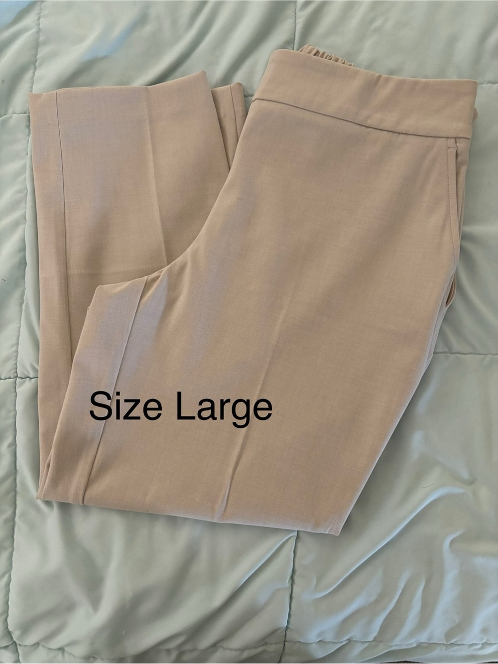 Hilary Radley Stretch Pull-On Trousers in Light Taupe